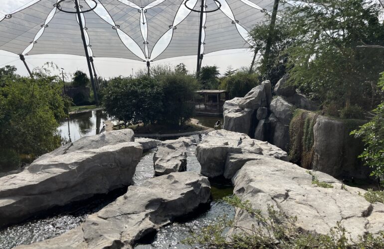 Sharjah Safari